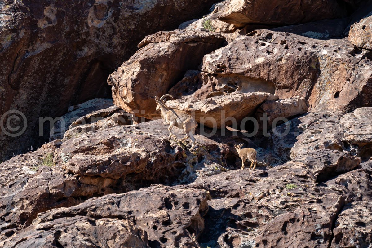 Hueco Tanks East Mountain A4-21992