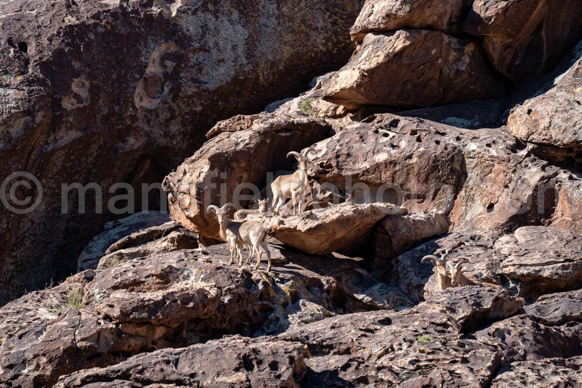 Hueco Tanks East Mountain A4-21994