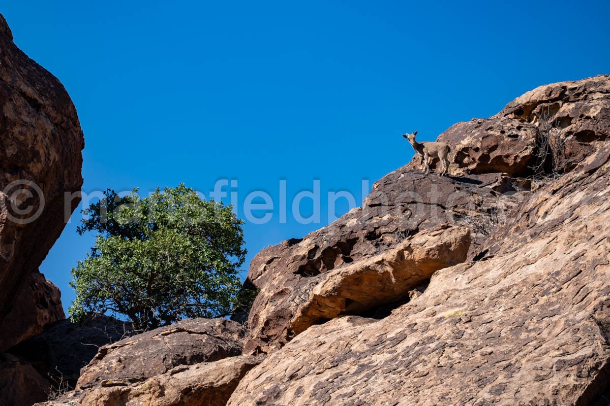 Hueco Tanks East Mountain A4-21998