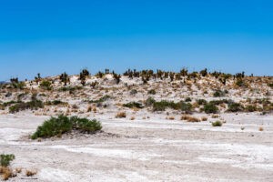 Guadalupe Salt Flats A4-22062 - Mansfield Photography