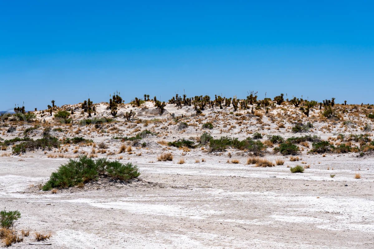 Guadalupe Salt Flats A4-22062