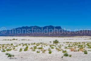 Guadalupe Salt Flats A4-22065 - Mansfield Photography