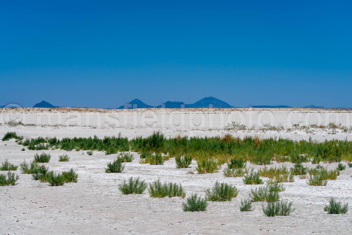 Guadalupe Salt Flats A4-22067