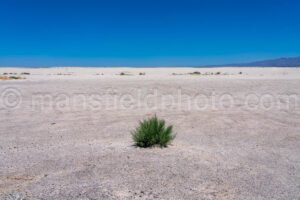 Guadalupe Salt Flats A4-22072 - Mansfield Photography
