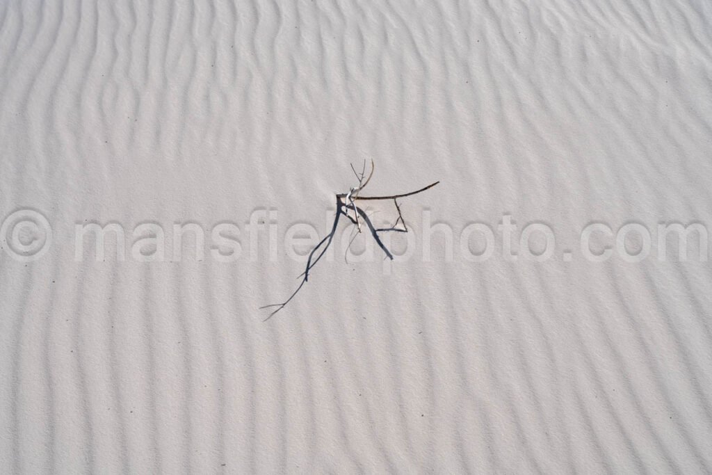 White Sands National Park, New Mexico A4-22090 - Mansfield Photography