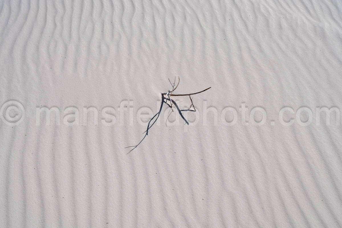 White Sands National Park, New Mexico A4-22090