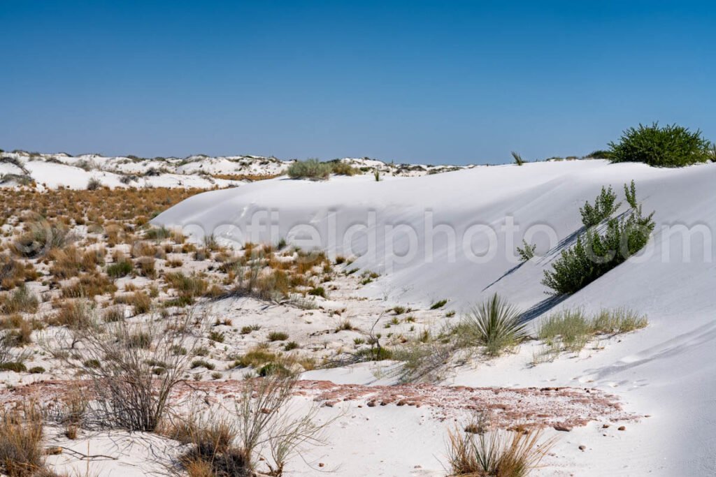 White Sands National Park, New Mexico A4-22093 - Mansfield Photography