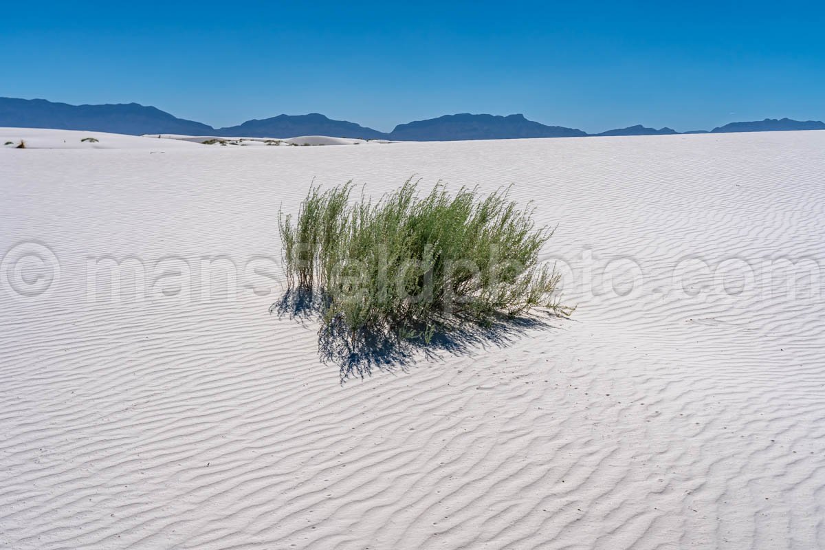 White Sands National Park, New Mexico A4-22096