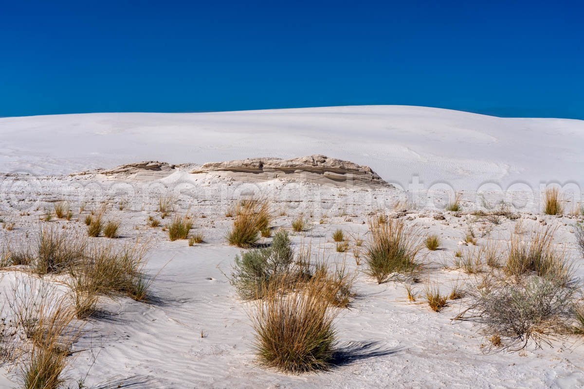 White Sands National Park, New Mexico A4-22108