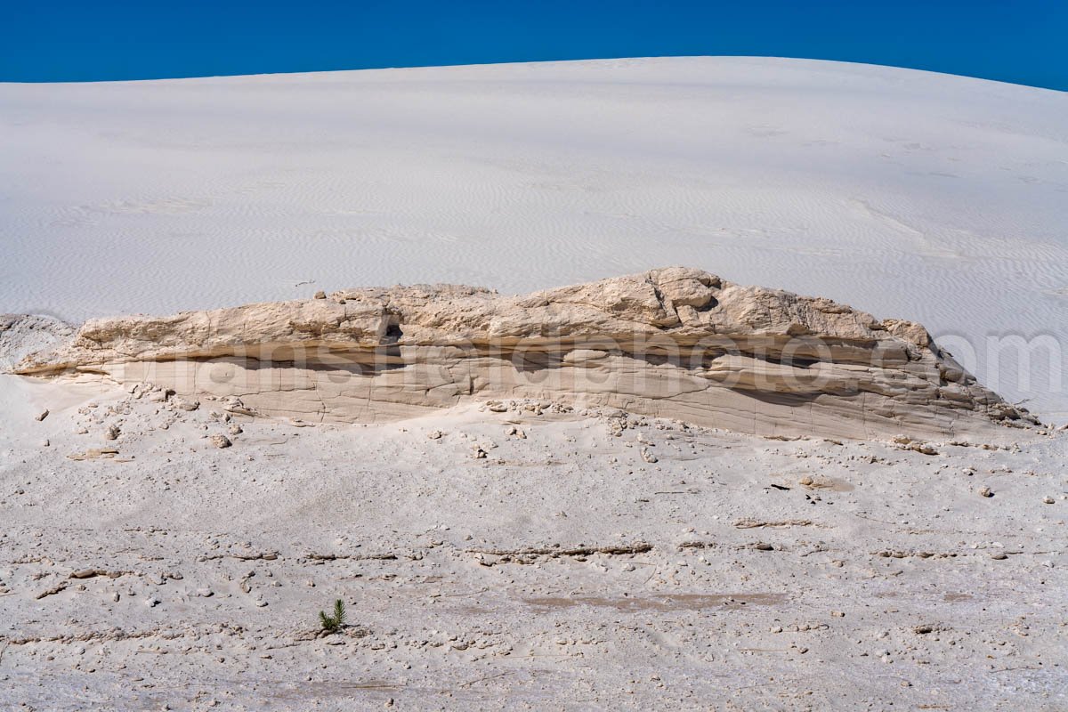 White Sands National Park, New Mexico A4-22113