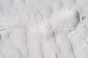 Tracks At White Sands National Park A4-22117 - Mansfield Photography