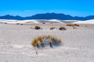 White Sands National Park, New Mexico A4-22123 - Mansfield Photography