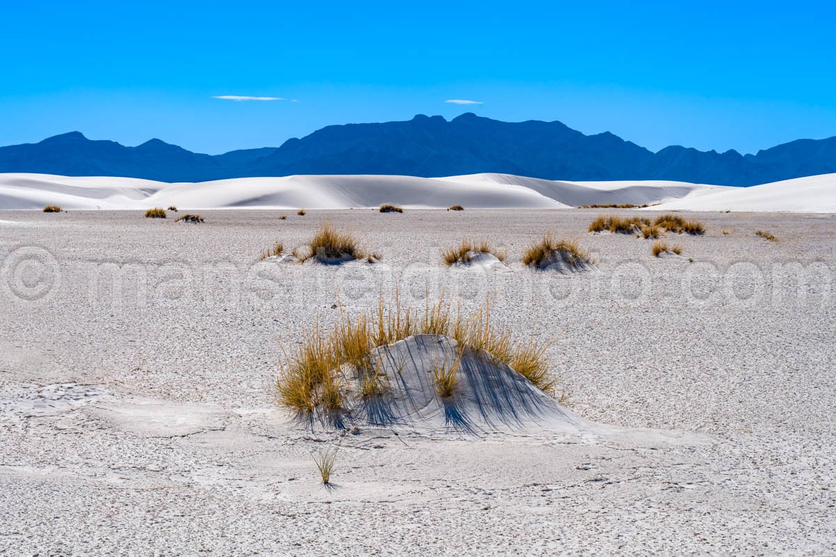 White Sands National Park, New Mexico A4-22123