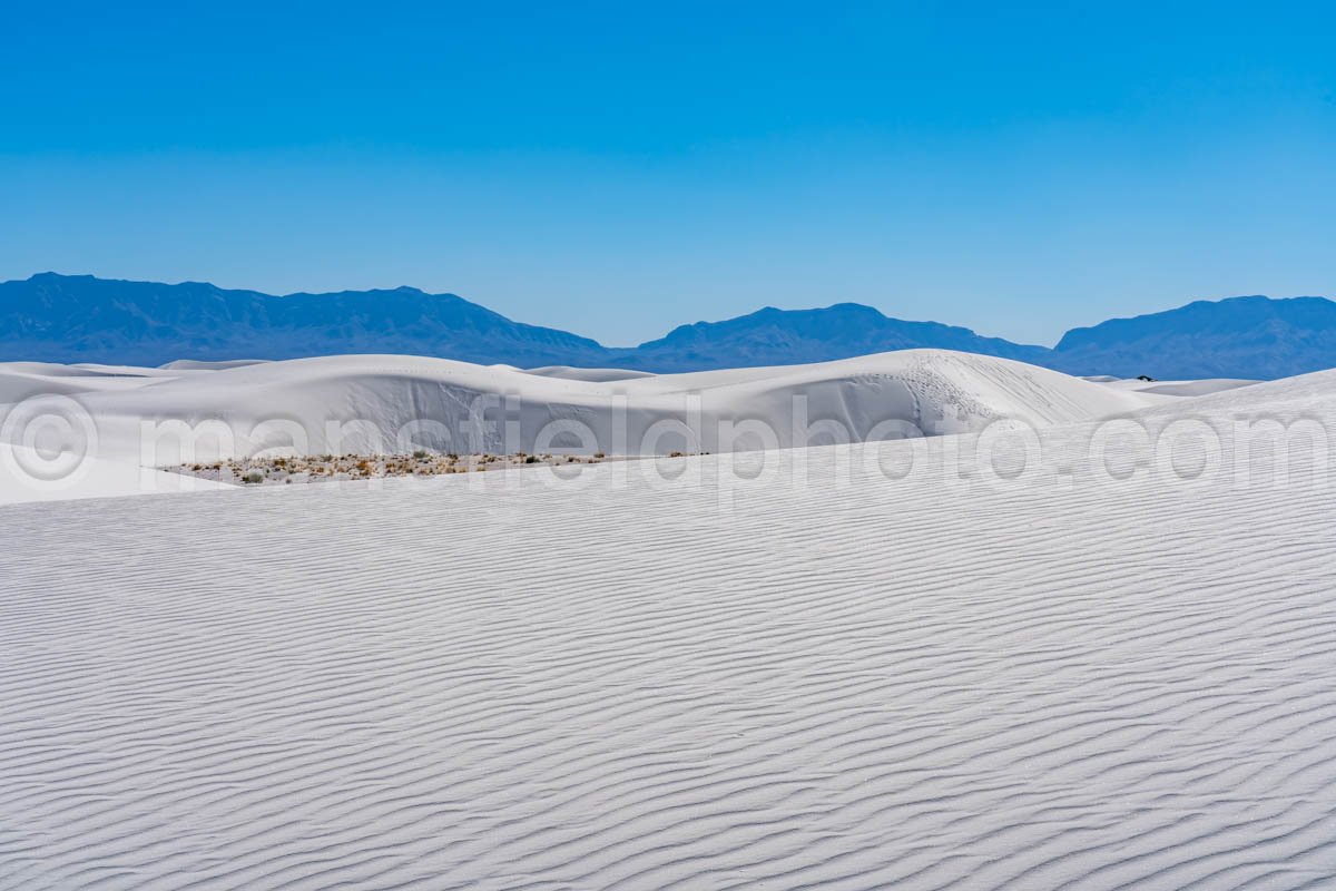 White Sands National Park, New Mexico A4-22131