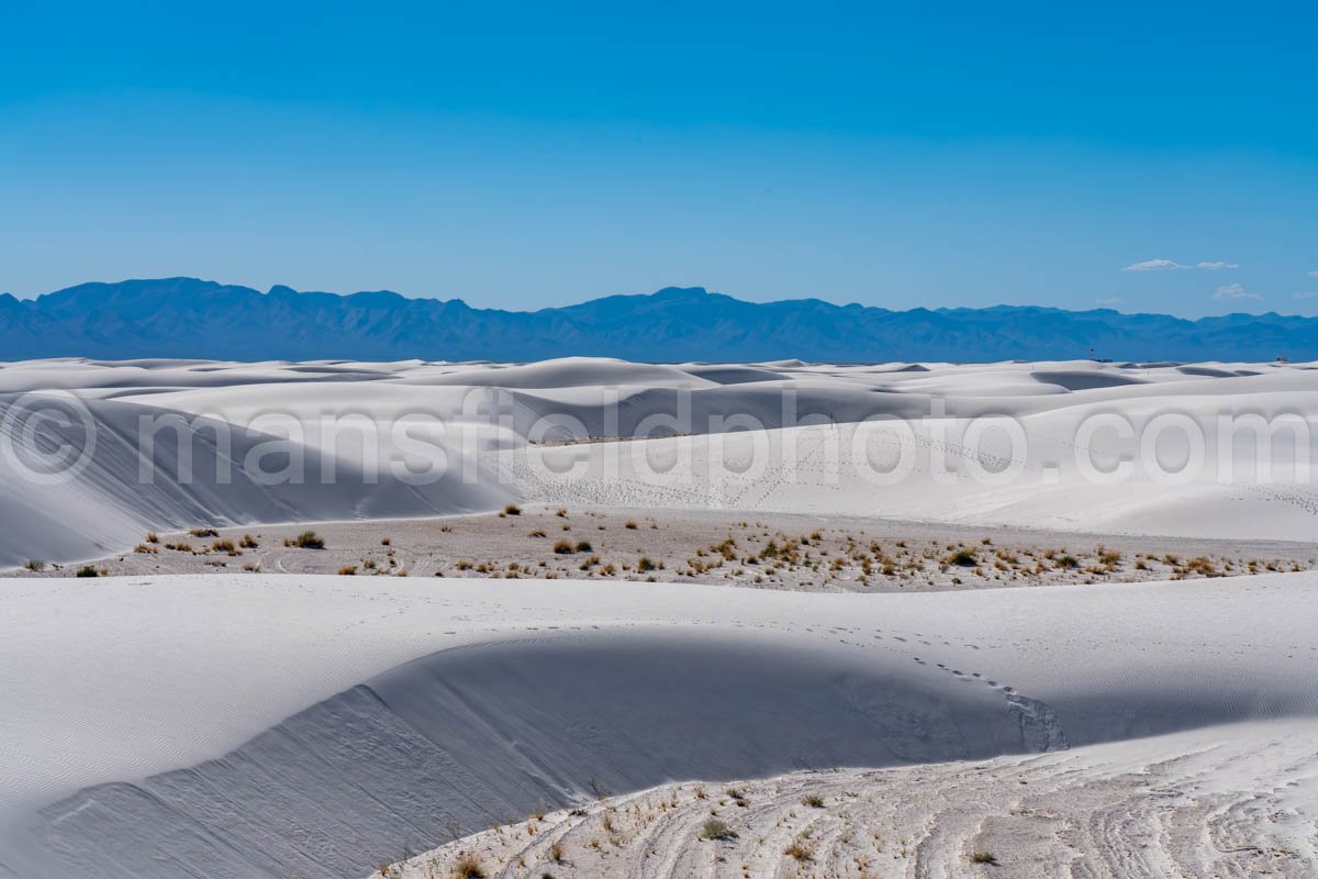 White Sands National Park, New Mexico A4-22133