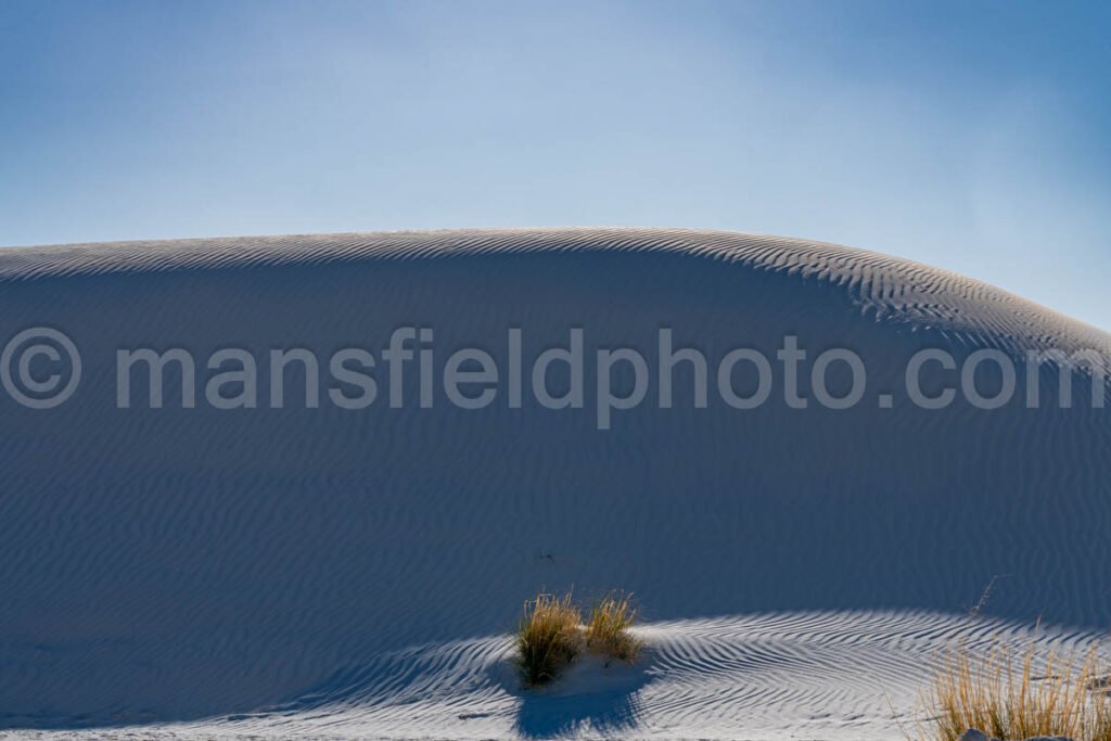 White Sands National Park, New Mexico A4-22143 - Mansfield Photography