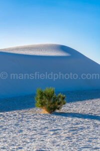 White Sands National Park, New Mexico A4-22171 - Mansfield Photography