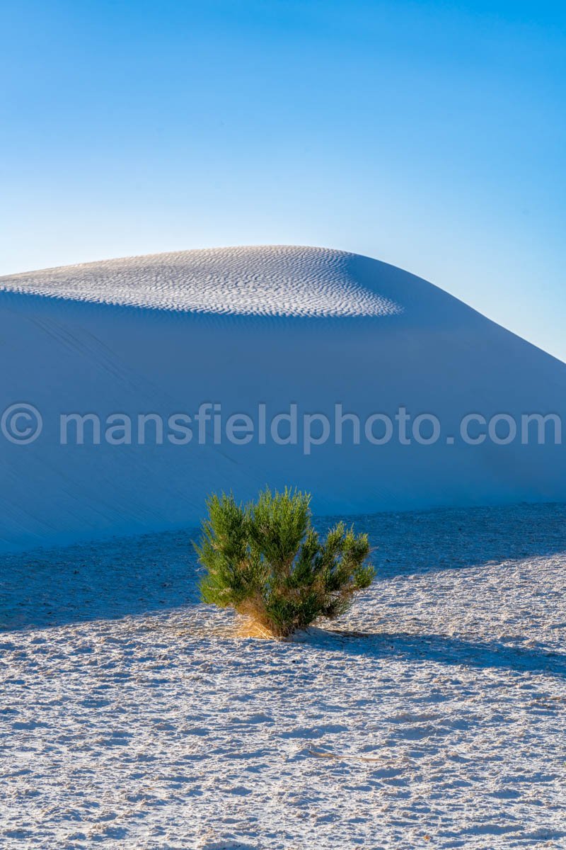 White Sands National Park, New Mexico A4-22171