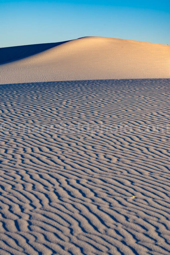 White Sands National Park, New Mexico A4-22199 - Mansfield Photography