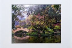 Japanese Garden Autumn Print With Mat (8×10)