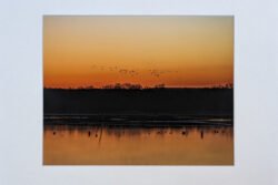 Mansfield Sunrise At Joe Pool Lake Print With Mat (8X10)