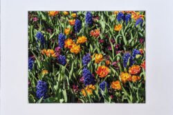 Orange And Blue Flowers Print With Mat (8×10)