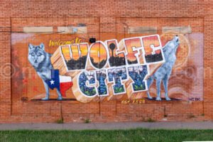 Wolfe City, Tx A4-23460 - Mansfield Photography