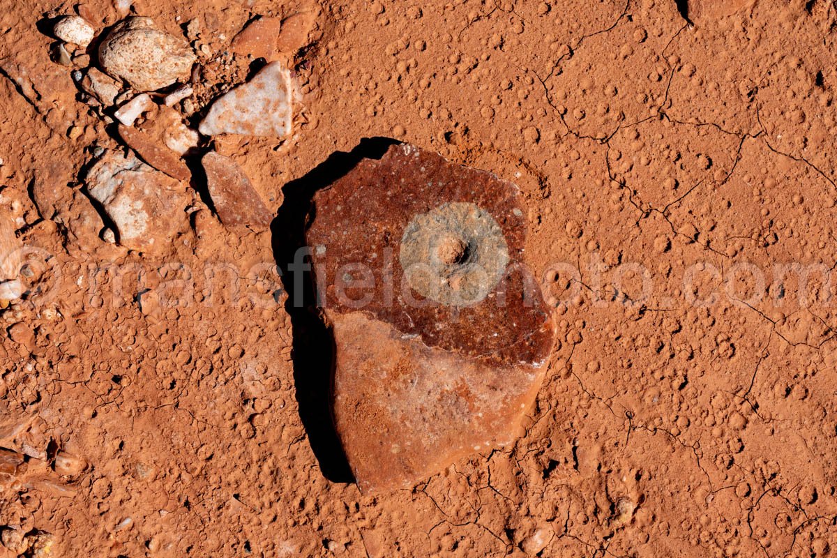 Caprock Canyons Stone A4-08824