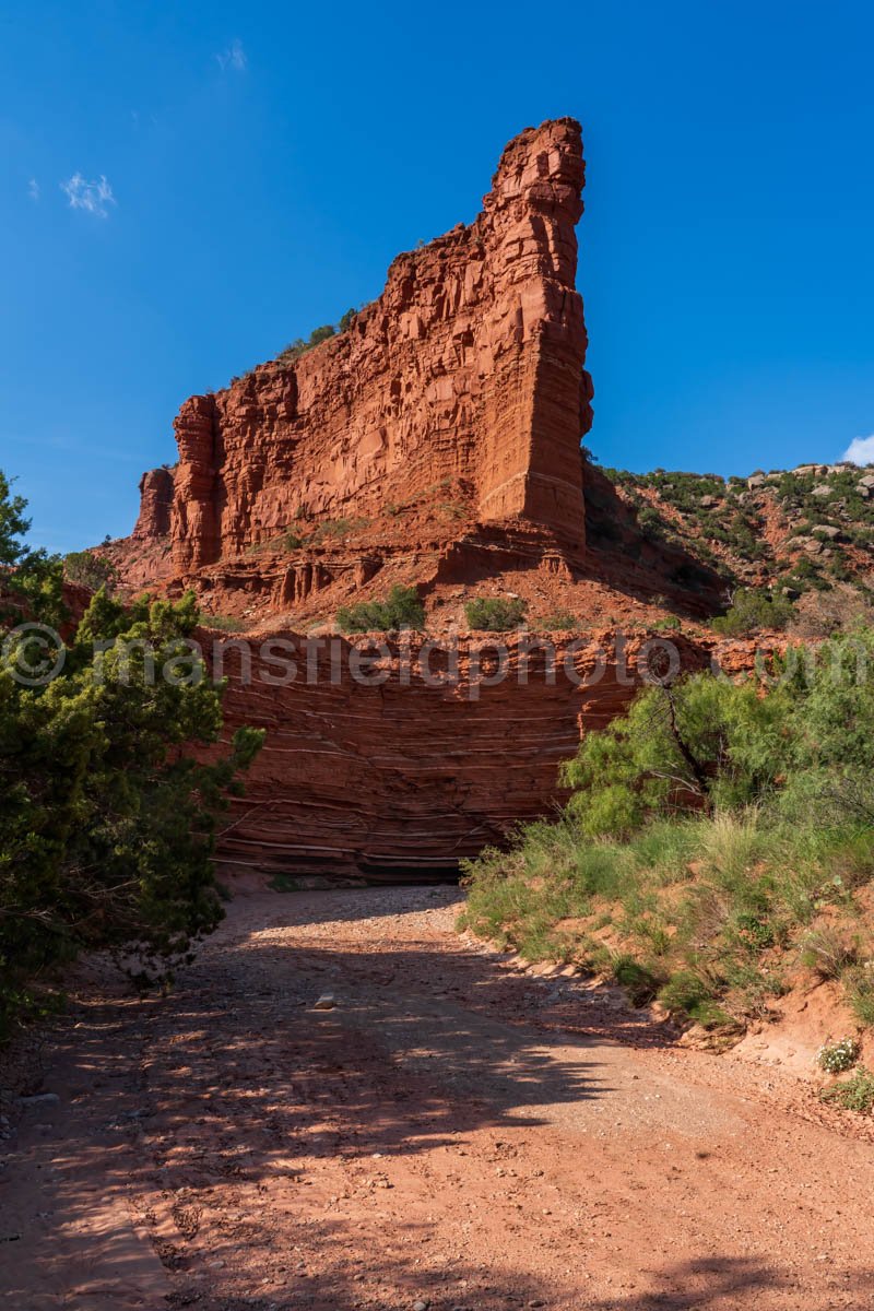 Caprock Canyons Ledge-1 A4-08877