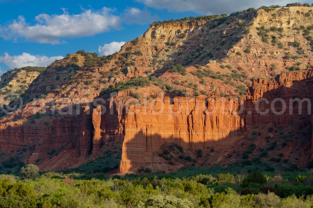 Caprock Canyons Wall-3 A4-09112