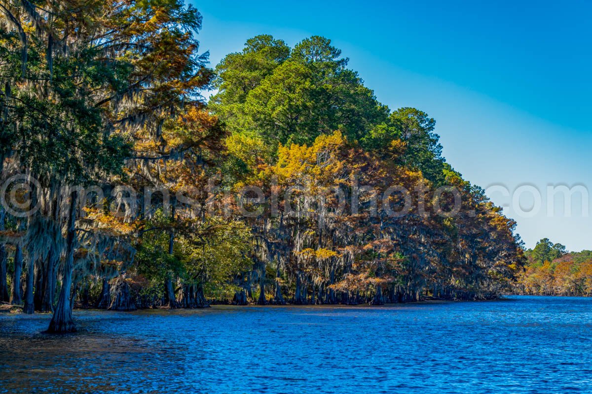 Big Cypress Bayou, Caddo Lake, Tx A4-10238