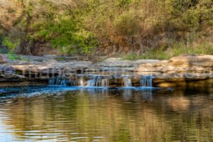 Bowman Branch A4-10349 - Mansfield Photography