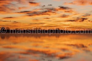 Morning At Lake Worth A4-13023 - Mansfield Photography