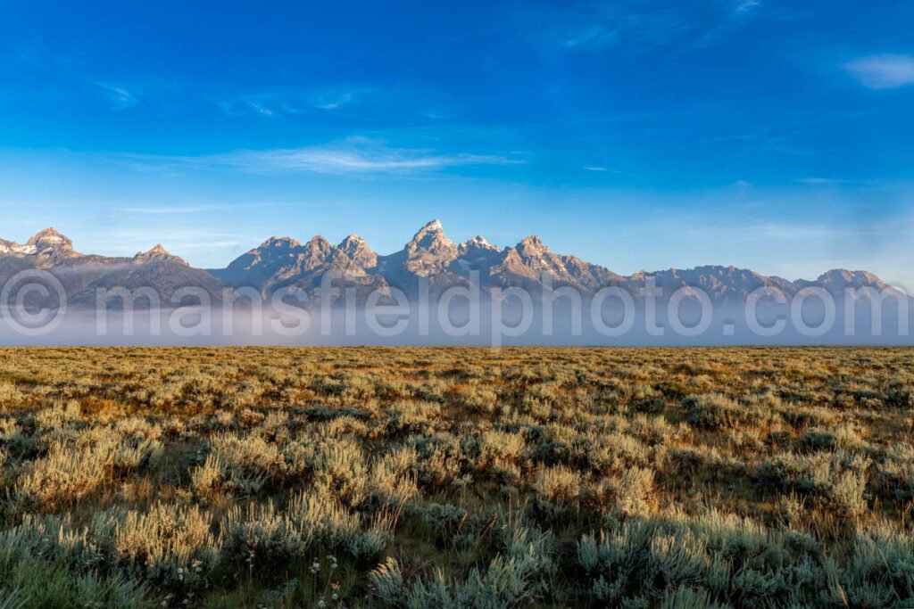 Foggy Morning At The Grand Teton National Park A4-16915 - Mansfield Photography