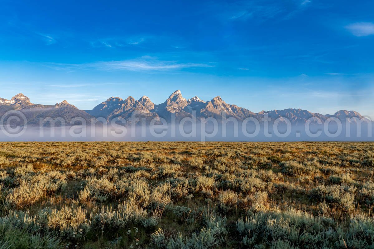 Foggy Morning At The Grand Teton National Park A4-16915