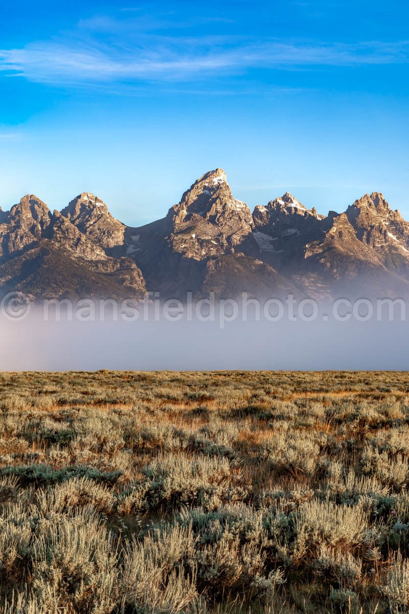 Foggy Morning At The Grand Teton National Park A4-16923