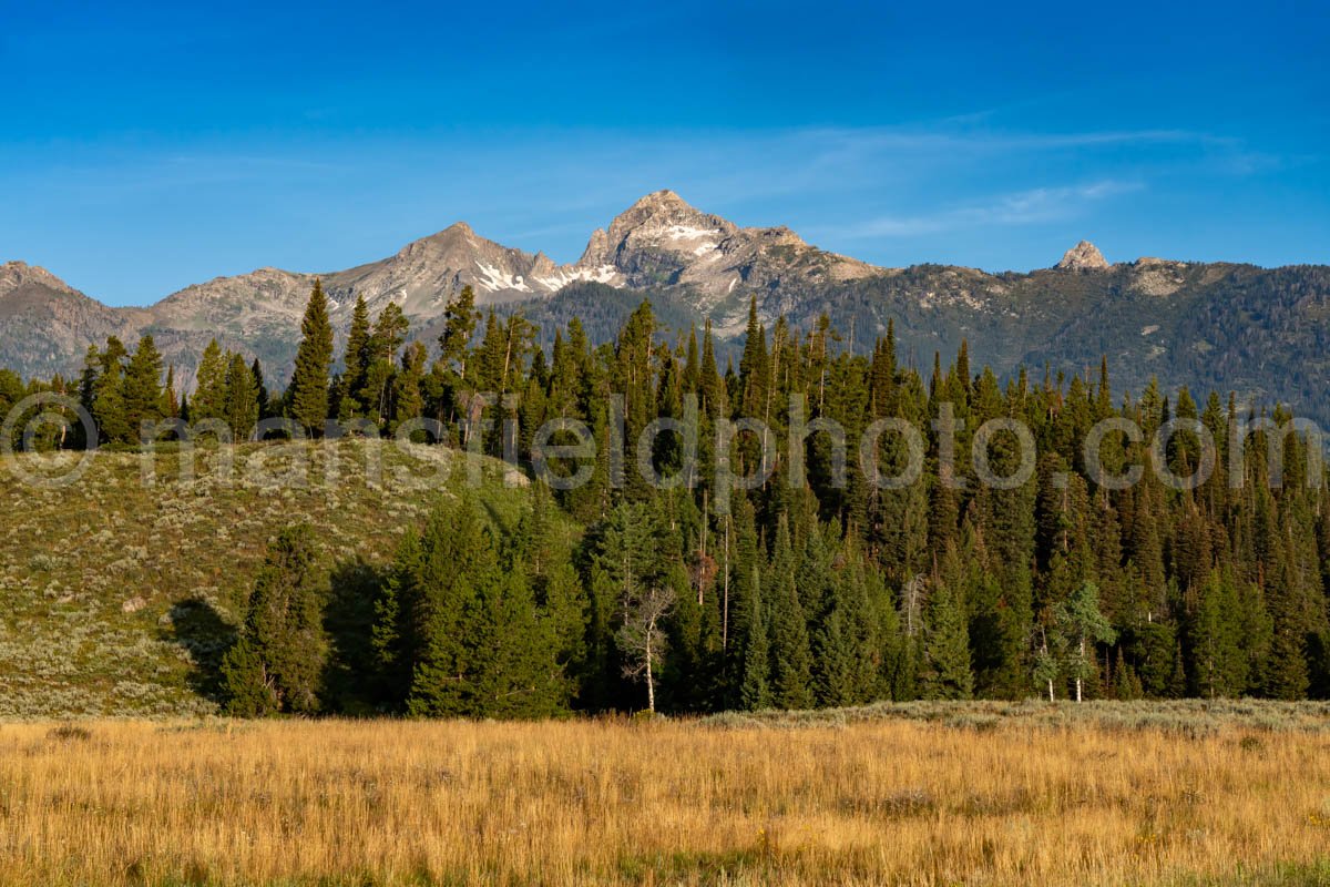 Grand Teton National Park A4-16934