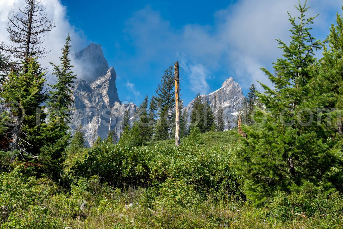 View from String Lake Loop Trail A4-17002