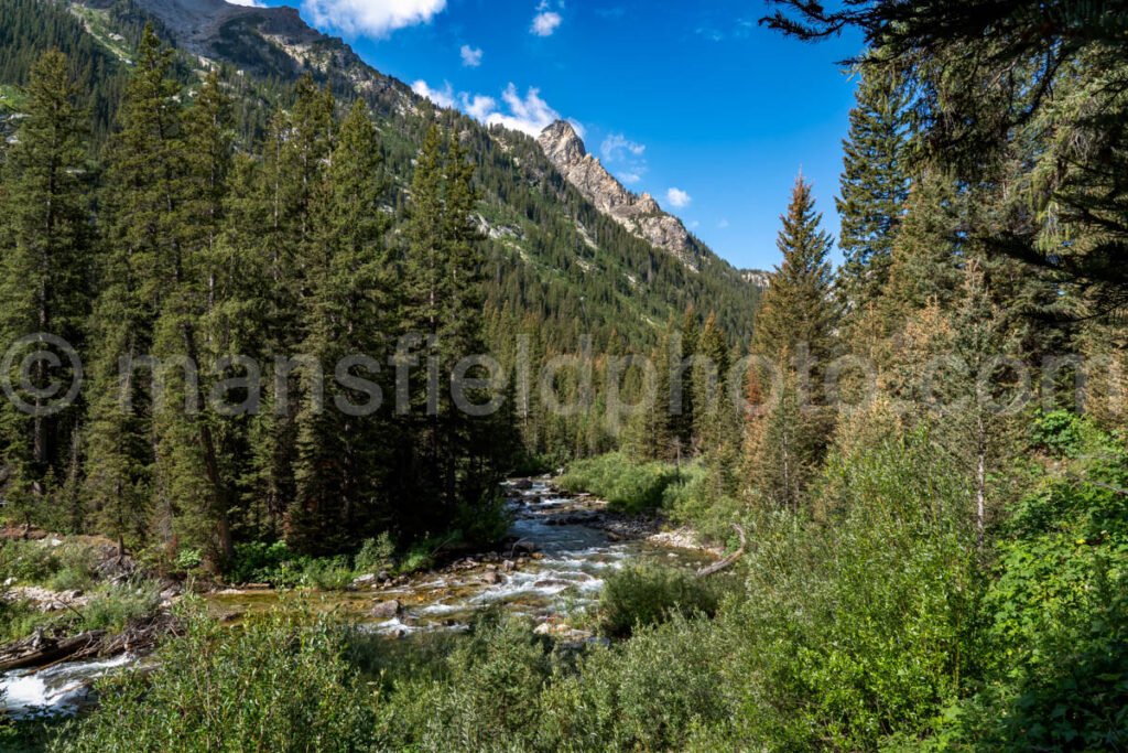 Cascade Canyon A4-17196 - Mansfield Photography