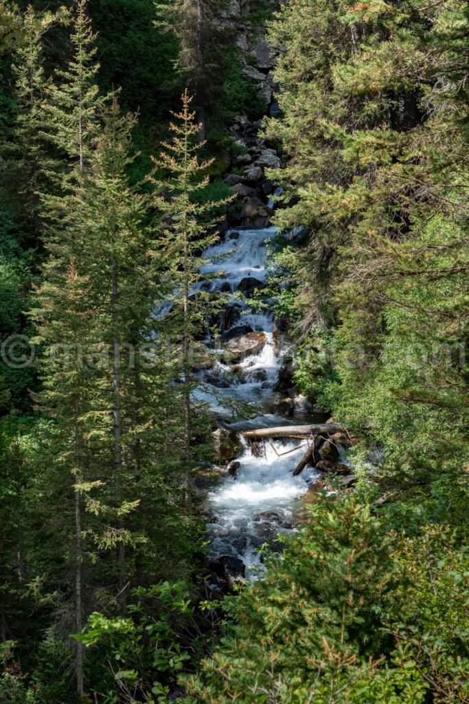 Cascade In Cascade Canyon A4-17230 - Mansfield Photography