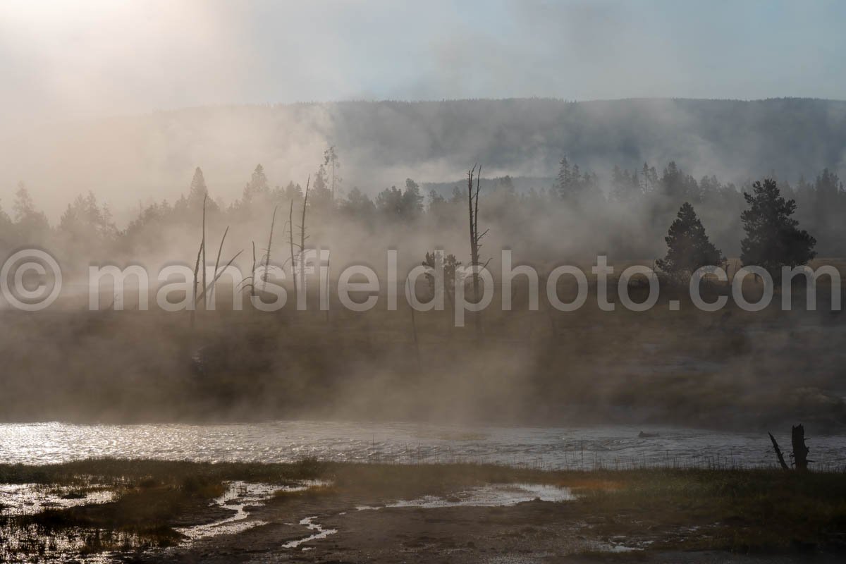 Fog on the Firehole River in Yellowstone National Park A4-17780