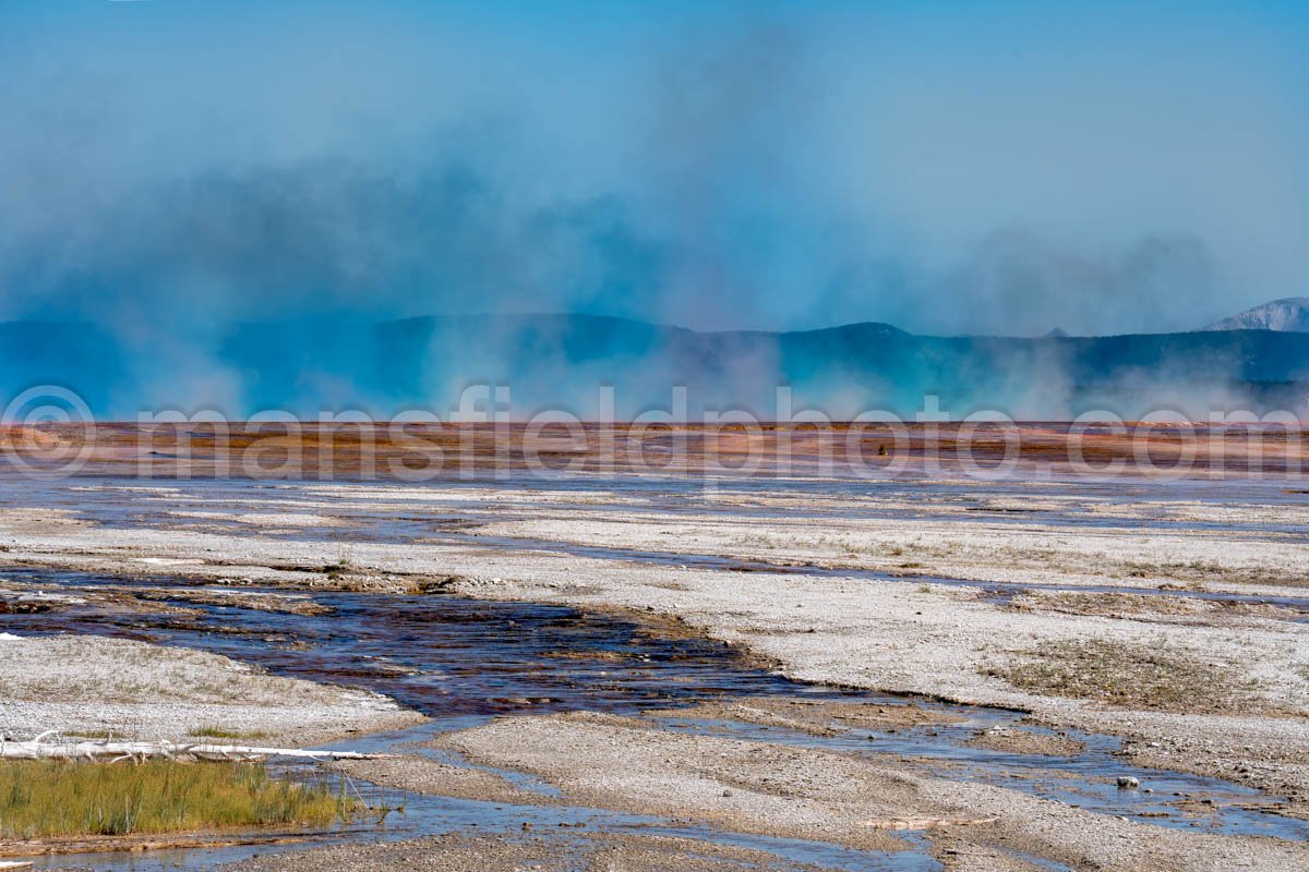 Near Grand Prismatic Spring In Yellowstone National Park A4-17842