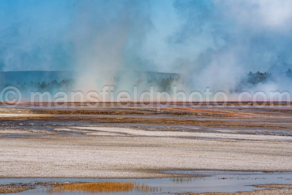 Near Grand Prismatic Spring in Yellowstone National Park A4-17847 - Mansfield Photography