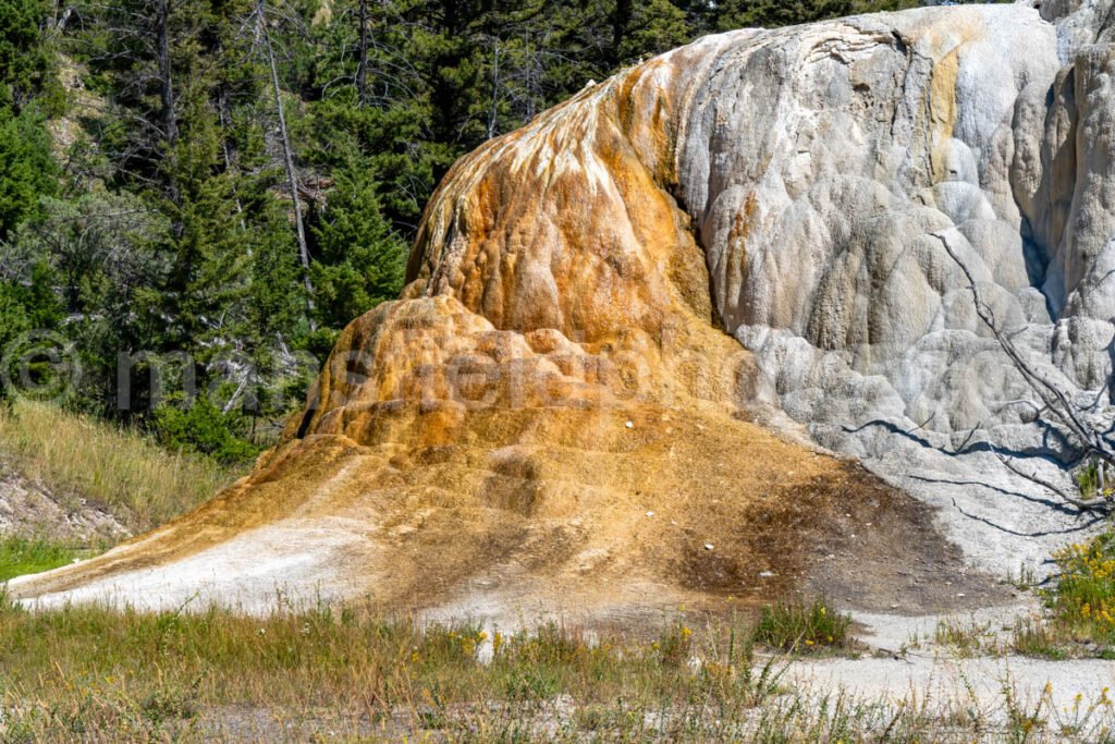 Mammoth Hot Springs, Yellowstone National Park A4-18127 - Mansfield Photography