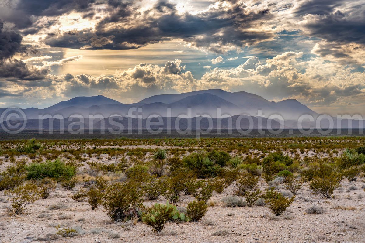 Big Bend National Park, Tx A4-18716