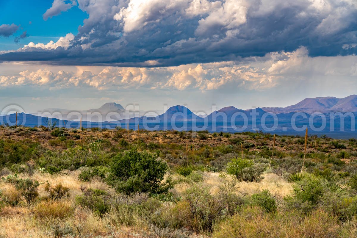 Big Bend National Park, TX A4-18723