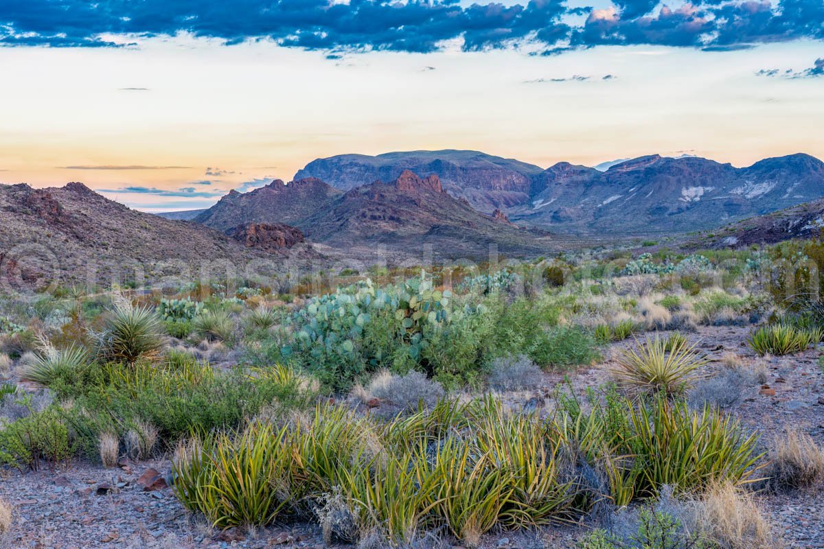 Big Bend National Park, TX A4-18821