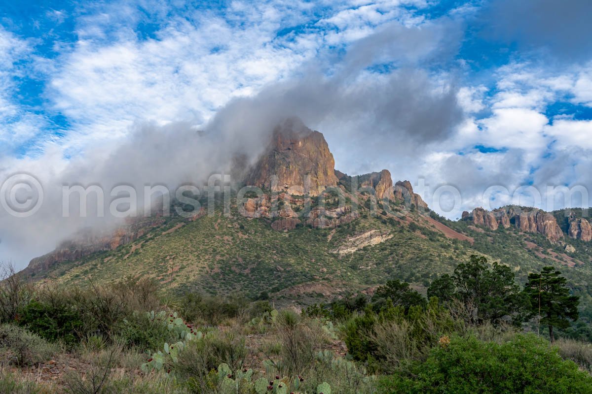 Casa Grande Peak, Big Bend National Park, Tx A4-19004