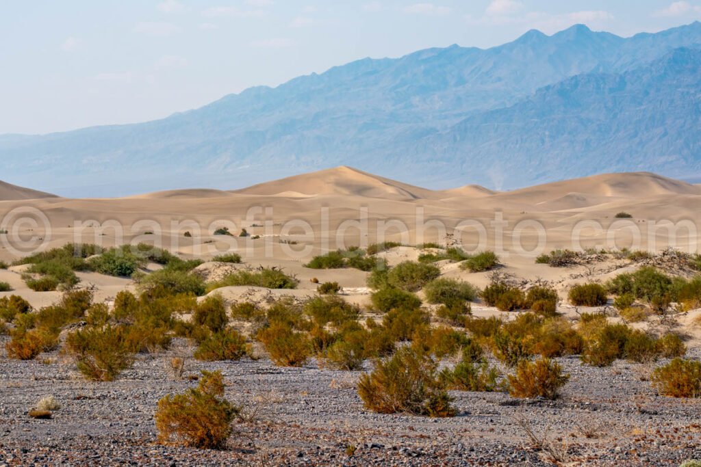 Death Valley National Park, Ca A4-22522 - Mansfield Photography