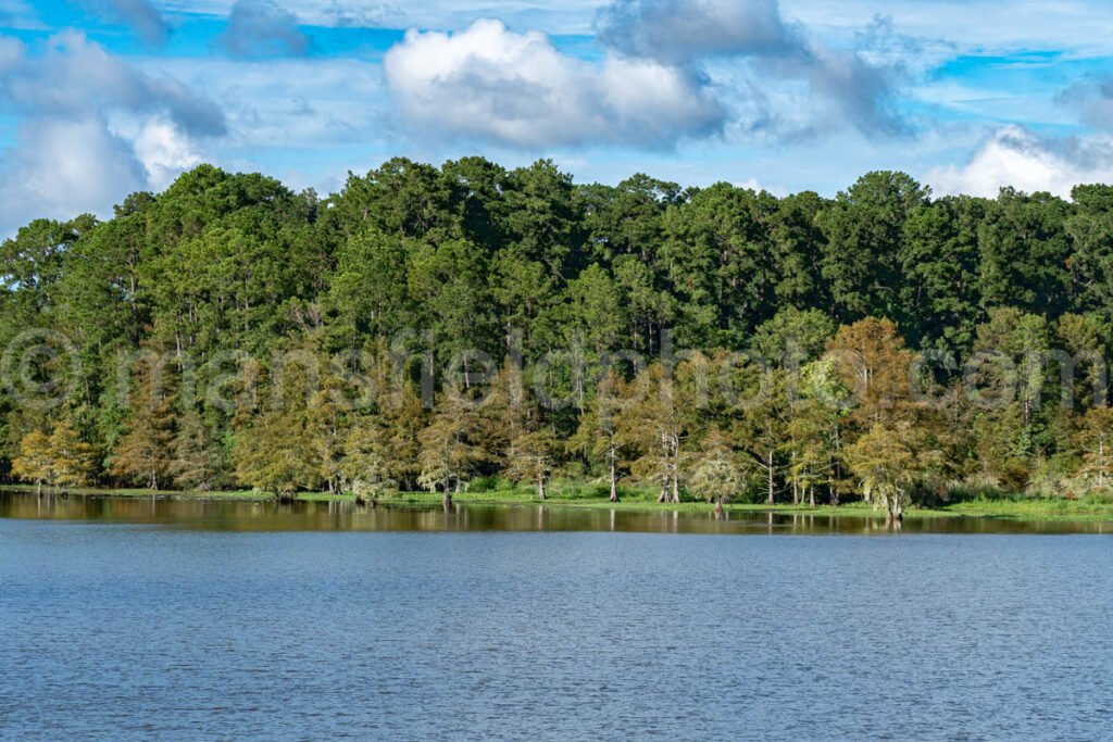 Lake Steinhagen, Texas A4-23889 - Mansfield Photography